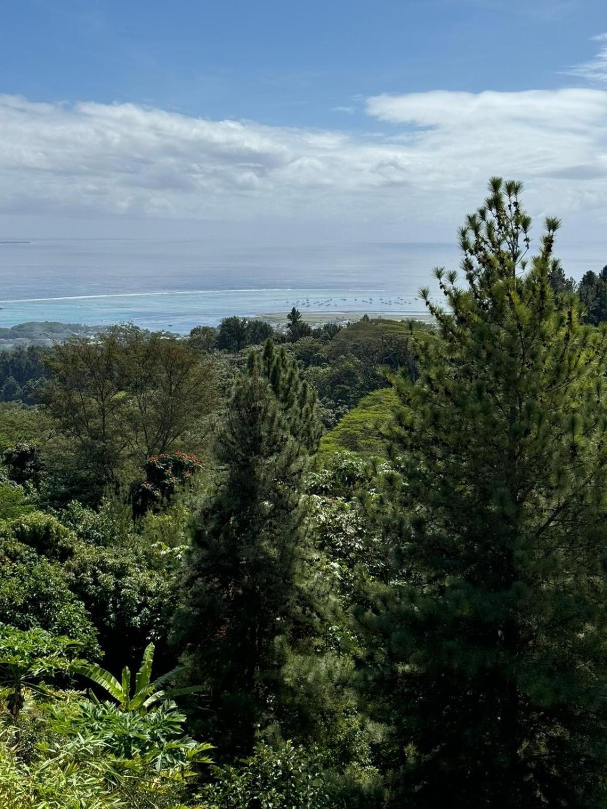 Logement Cosy Avec Piscine Et Vue Tahiti Punaauia Екстериор снимка