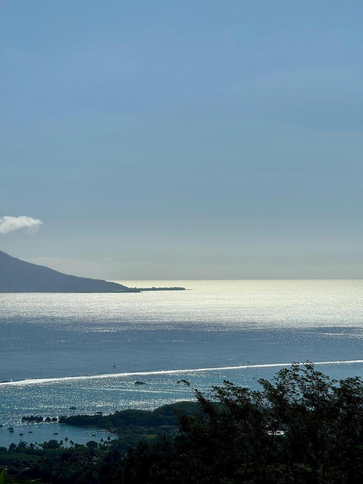 Logement Cosy Avec Piscine Et Vue Tahiti Punaauia Екстериор снимка
